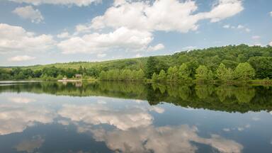 Landscape of trees and water in Honesdale, PA.