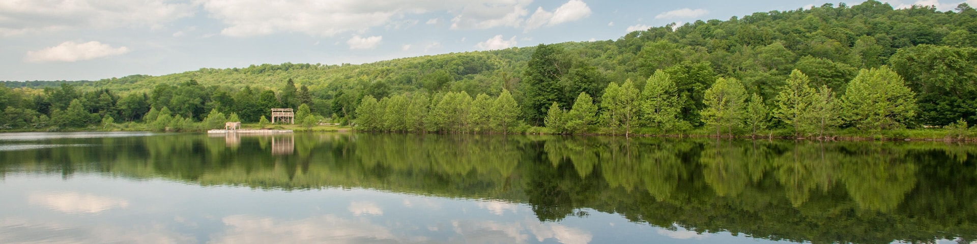 Landscape of trees and water in Honesdale, PA.