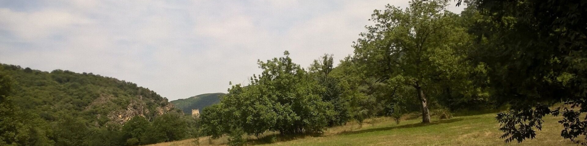 Driving down a dirt road, an old fortress called Kuhluti is visible in the distance.
View from rural Kvemo Kartli in the country of Georgia.