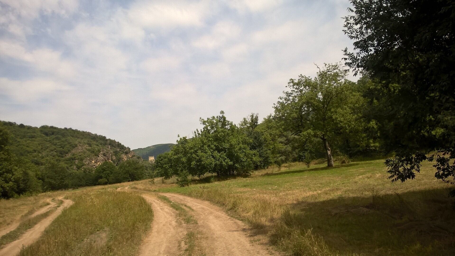 A dirt path winding through a green landscape with trees and hills in the background.