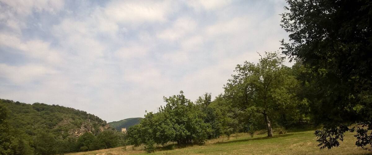 A dirt path winding through a green landscape with trees and hills in the background.