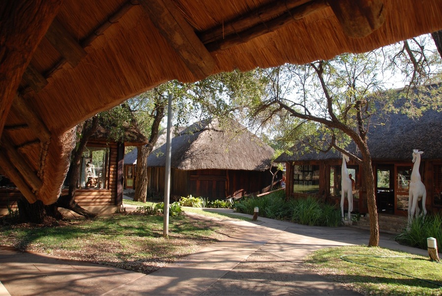 This lodge, located in the Karongwe River area, was comfortable, and employs experience trackers and naturalists to help you interpret the flora and fauna you see.