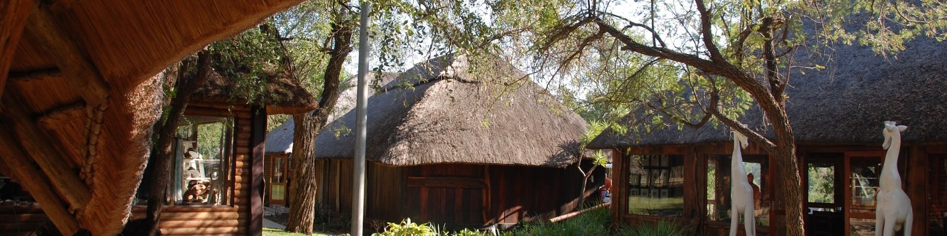This lodge, located in the Karongwe River area, was comfortable, and employs experience trackers and naturalists to help you interpret the flora and fauna you see.