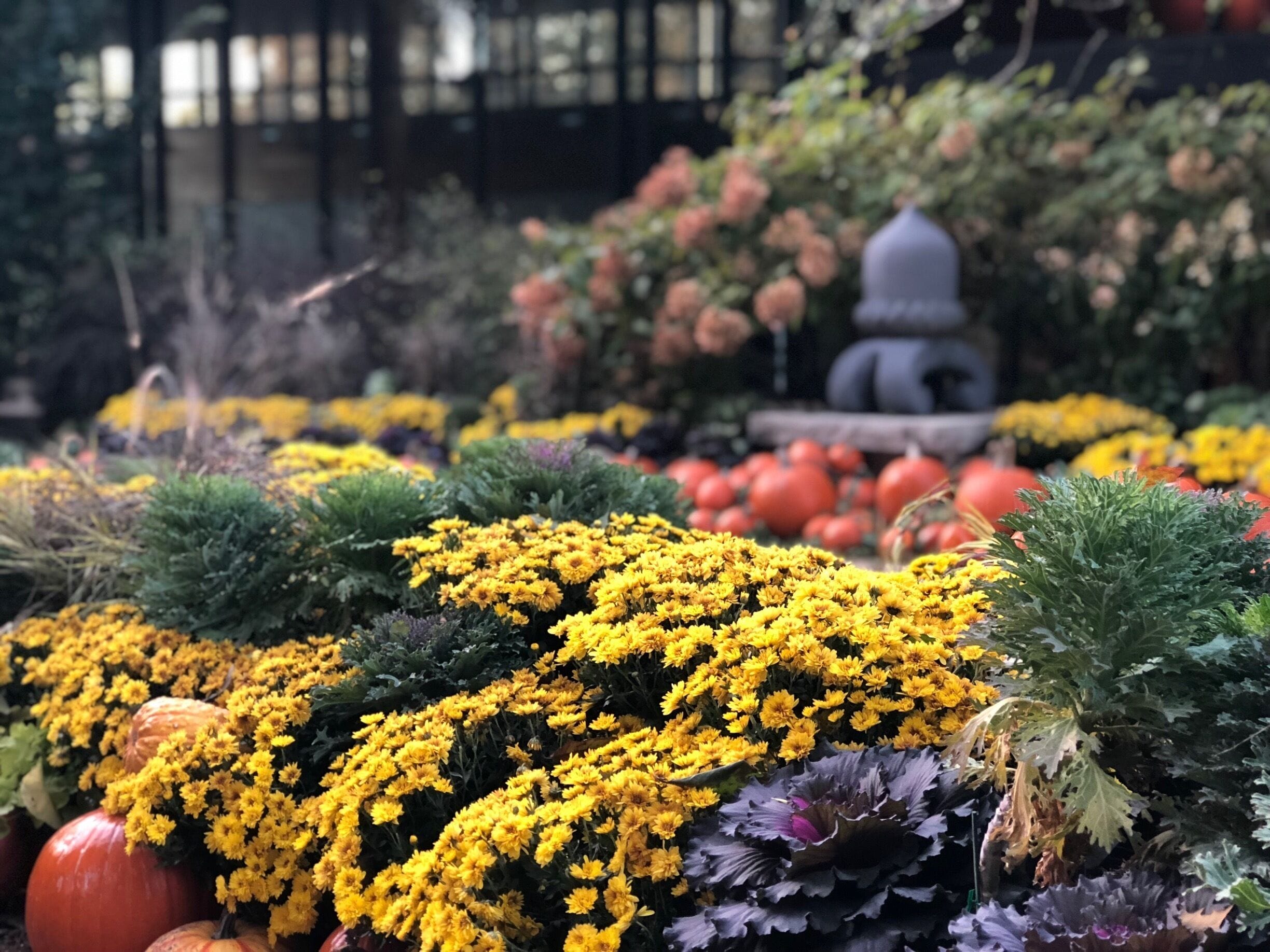 Um jardim com flores amarelas, abóboras e uma estátua.