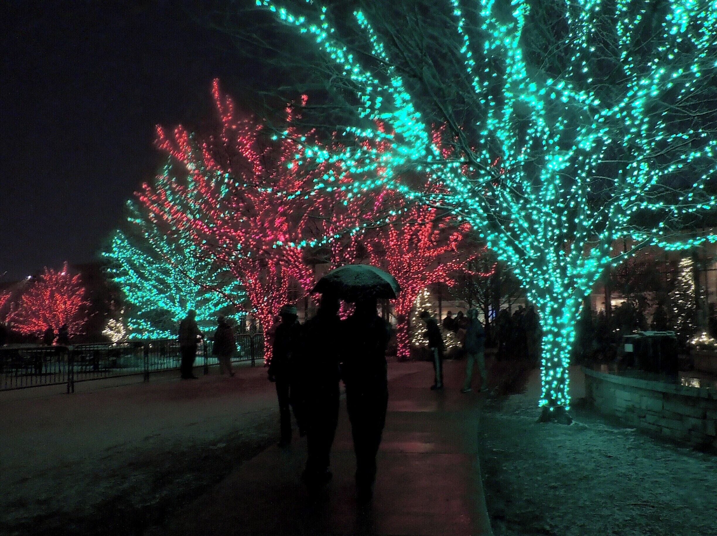 The Morton Arboretum’s unique, interactive holiday light show was one for the record books.  With snow gently falling the night of our woodland stroll, it was like being part of our own snow globe experience.  

Hug a tree and see the naked beauty light up with love in response; watch tendrils of lights dance merrily across a pond; hear Tchaikovsky’s, “The Nutcracker Suite” illuminate the wooded landscape; see a galaxy of glowing orbs cover an entire hillside as the million points of light pay homage to an enormous tree as bare as it was beautiful.  

If you can’t make this year’s “Illumination,” you can catch this annual event next holiday season; or share my experience that night via my blog at  http://www.aplacecalledroam.com/home/the-morton-arboretum-an-illuminating-look-at-trees-the-holidays. 
