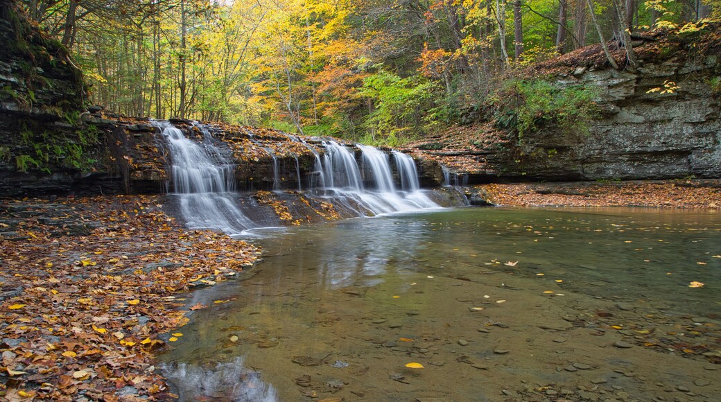 Small waterfall surrounded by the forest in autumn in Robert H. Treman State Park, NYC, USA
