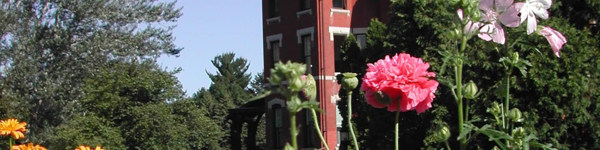 Cedar Rapids featuring a house and flowers