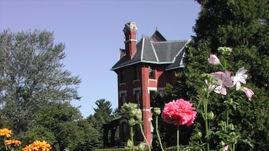 Cedar Rapids featuring a house and flowers