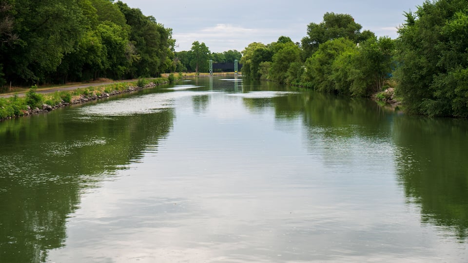 A calm river flanked by dense green trees under a cloudy sky.