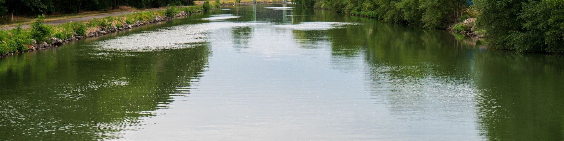 Un río tranquilo bordeado por árboles verdes y frondosos bajo un cielo nublado.