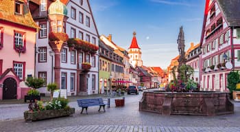 A cobblestone street lined with colorful half-timbered buildings, a fountain, and a bench.
