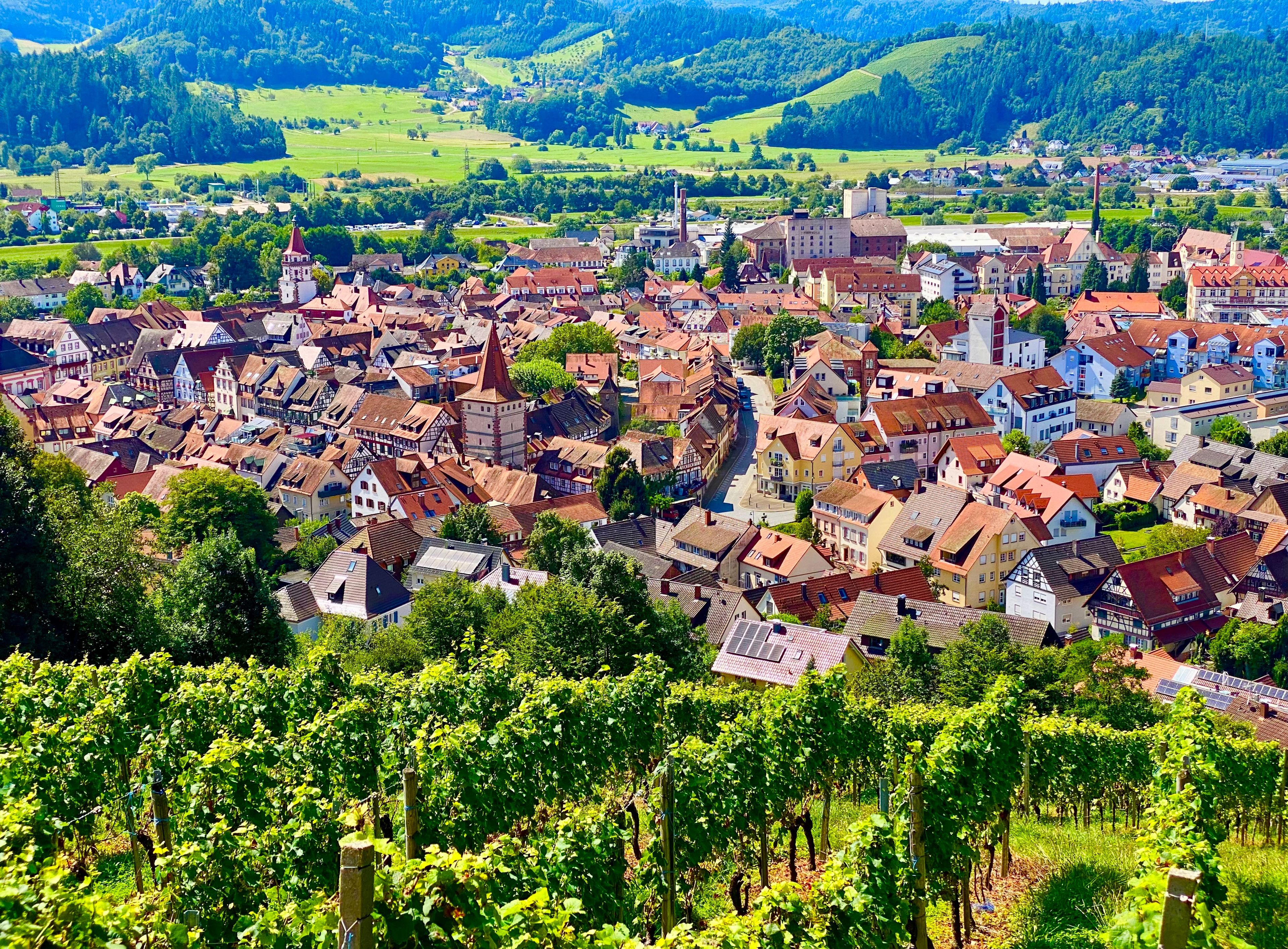 houses in the town of Gengenbach in the Black Forest, Germany