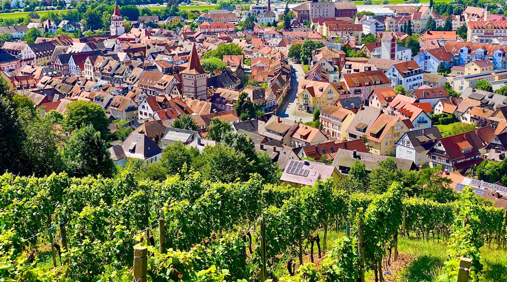 Cidade com edifícios históricos, vinhedos e colinas suaves ao fundo.