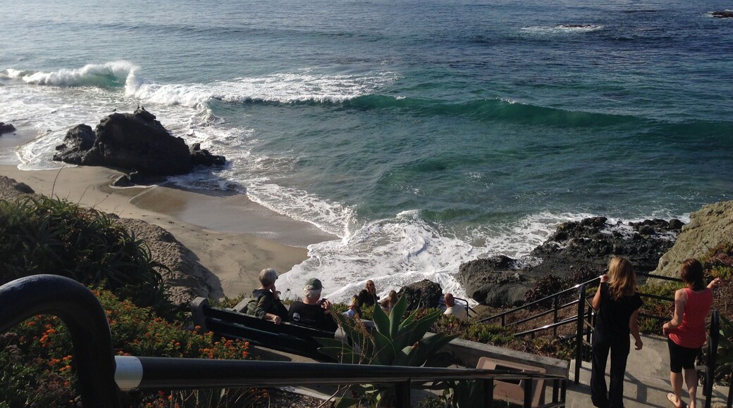 Another one of Laguna's cove. Parking is dependent on time. This is down the street from many shops and food places.