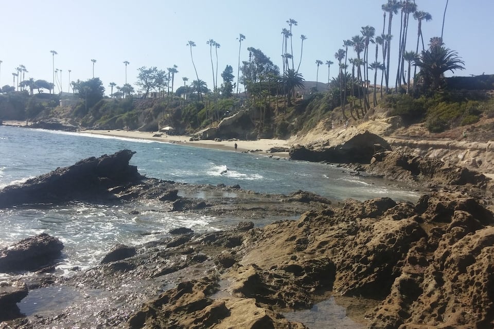 A rocky coastline with palm trees and a sandy beach.