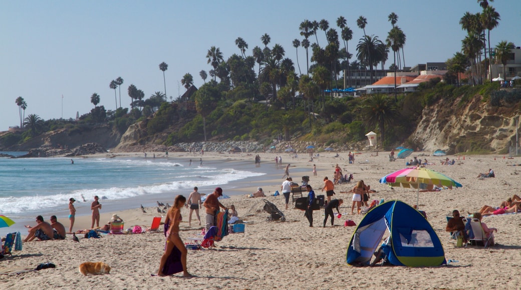 Laguna Beach featuring aallot, hiekkaranta ja yleiset rantanäkymät