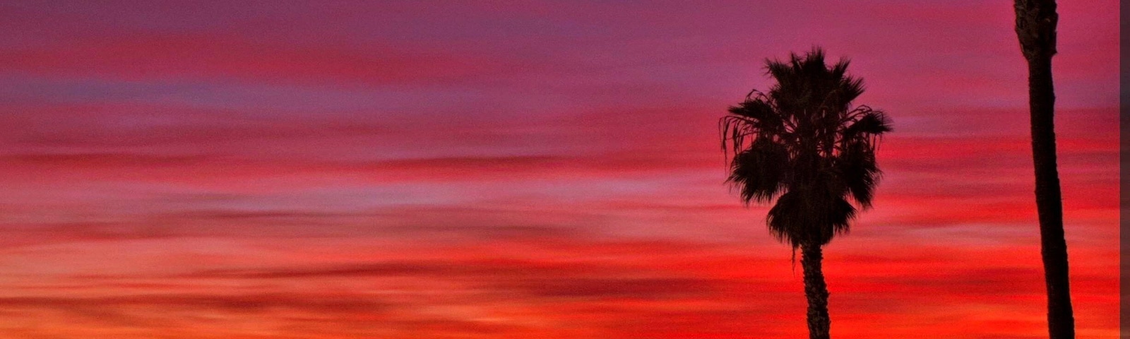 Pôr do sol com céu avermelhado, palmeiras, uma torre salva-vidas e uma rua com rastros de luz.