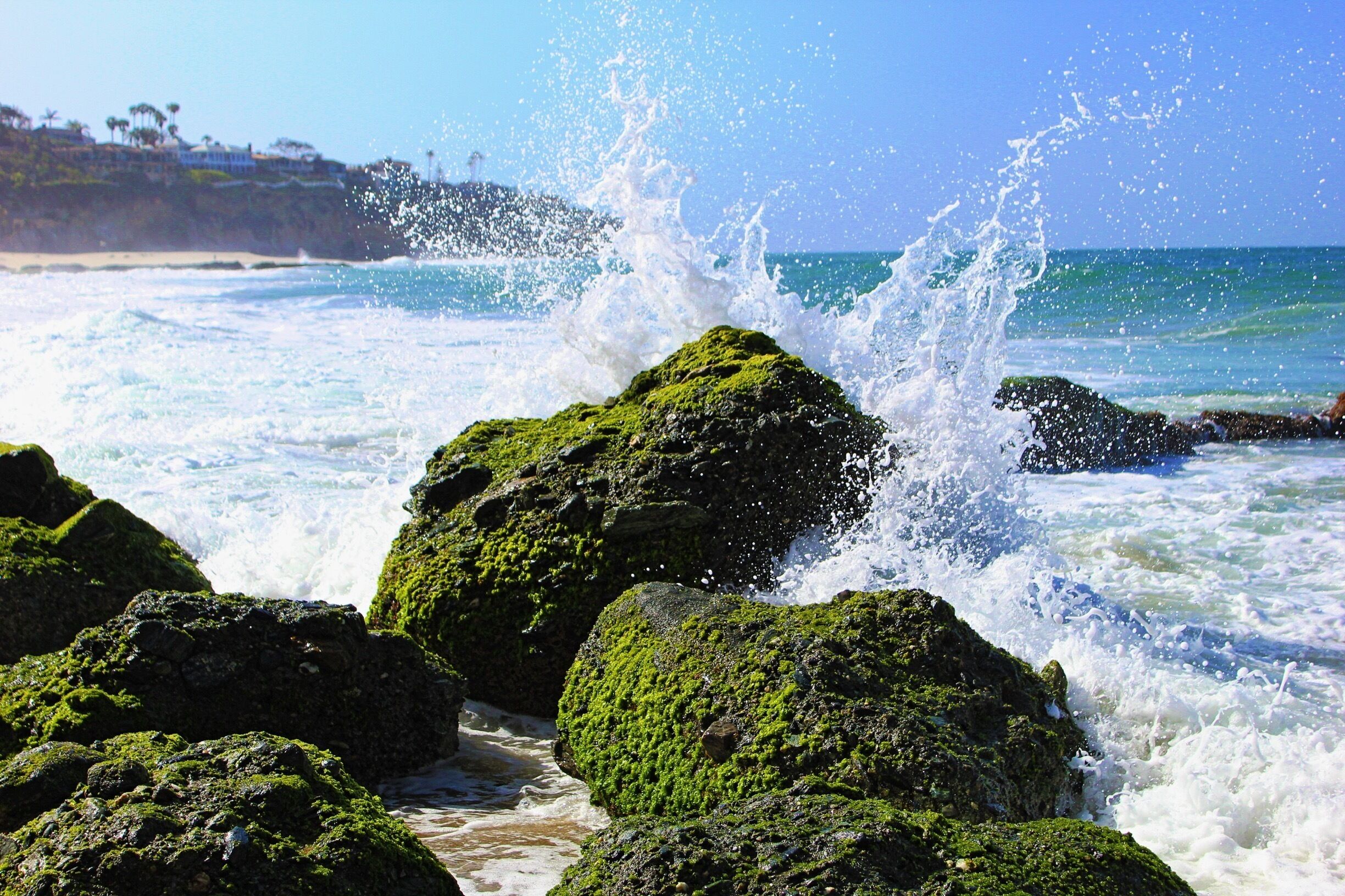 #green moss highlights the beautiful blue ocean of Laguna beach in spring .