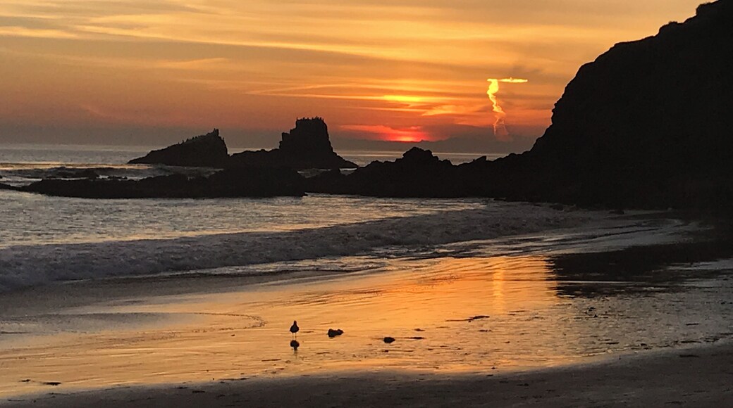 This is a spot most locals know about but most tourist do not. It is a gorgeous bay north of Main beach in Laguna Beach and it is my happy place to watch incredible sunsets. Often you will see Dolphins and Seal playing in the waves#LifeAtExpedia
