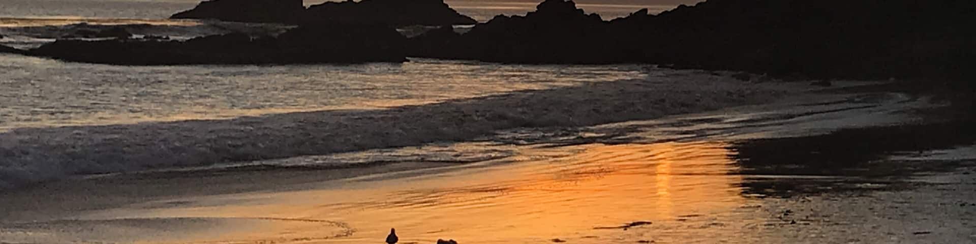 This is a spot most locals know about but most tourist do not. It is a gorgeous bay north of Main beach in Laguna Beach and it is my happy place to watch incredible sunsets. Often you will see Dolphins and Seal playing in the waves#LifeAtExpedia