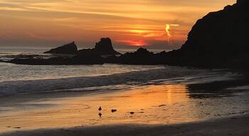 This is a spot most locals know about but most tourist do not. It is a gorgeous bay north of Main beach in Laguna Beach and it is my happy place to watch incredible sunsets. Often you will see Dolphins and Seal playing in the waves#LifeAtExpedia