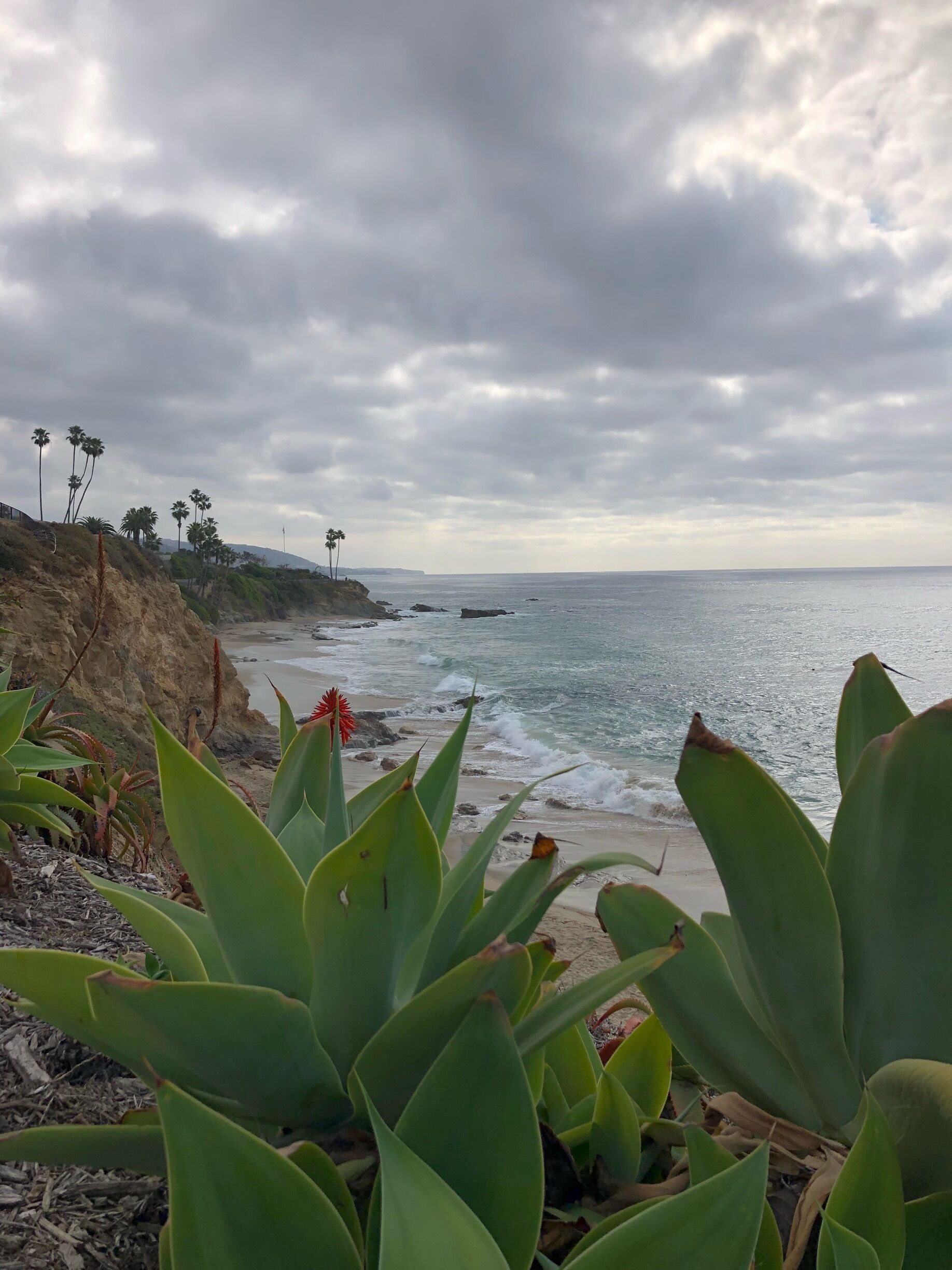 Finished the morning at Heisler Park. 