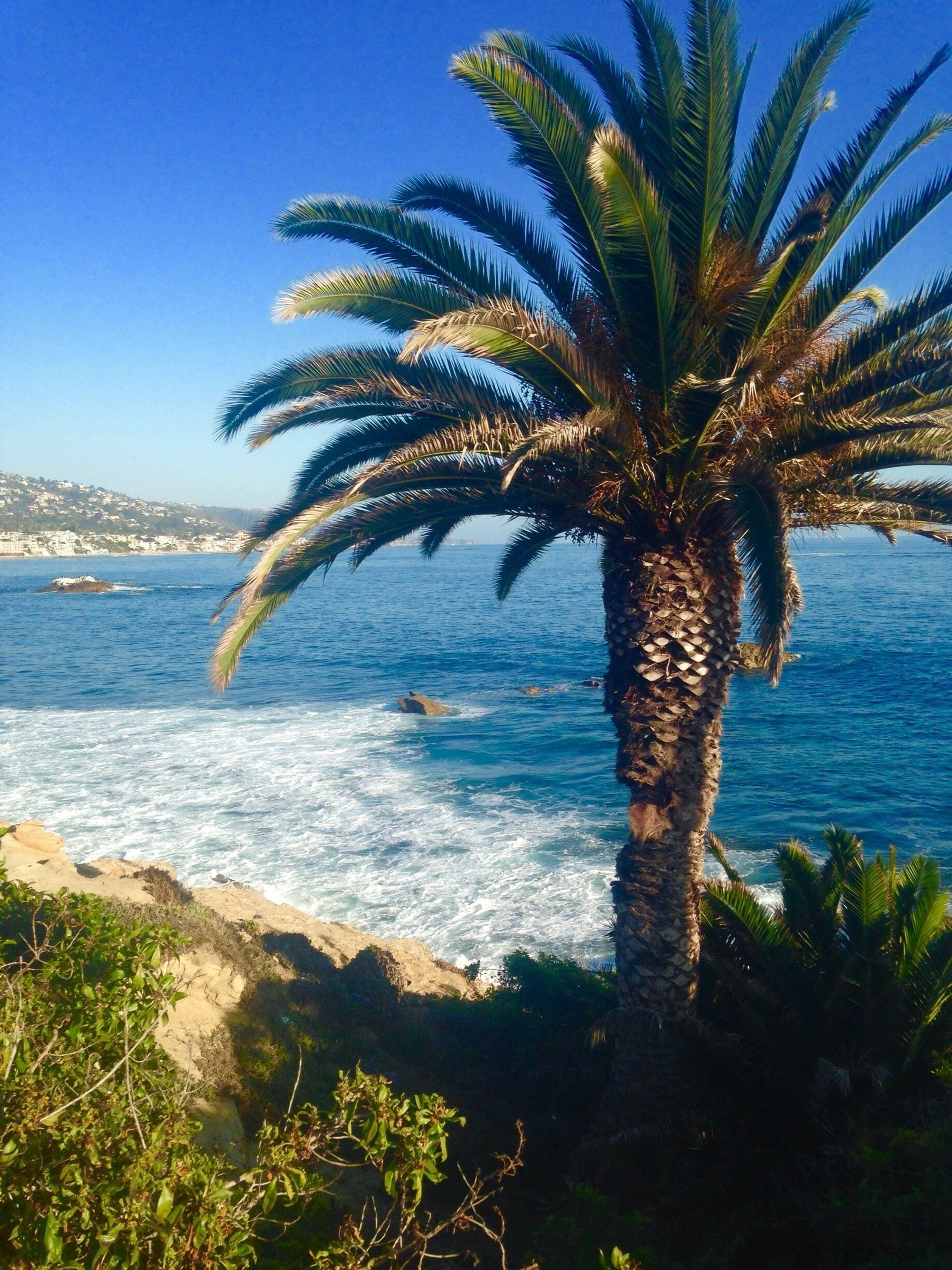 Beautiful walkway with gorgeous ocean views