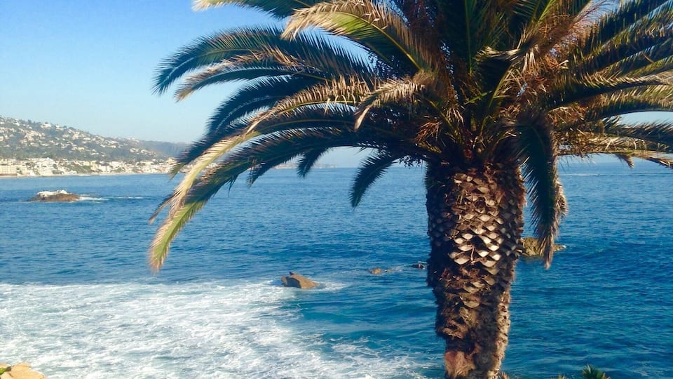 Beautiful walkway with gorgeous ocean views