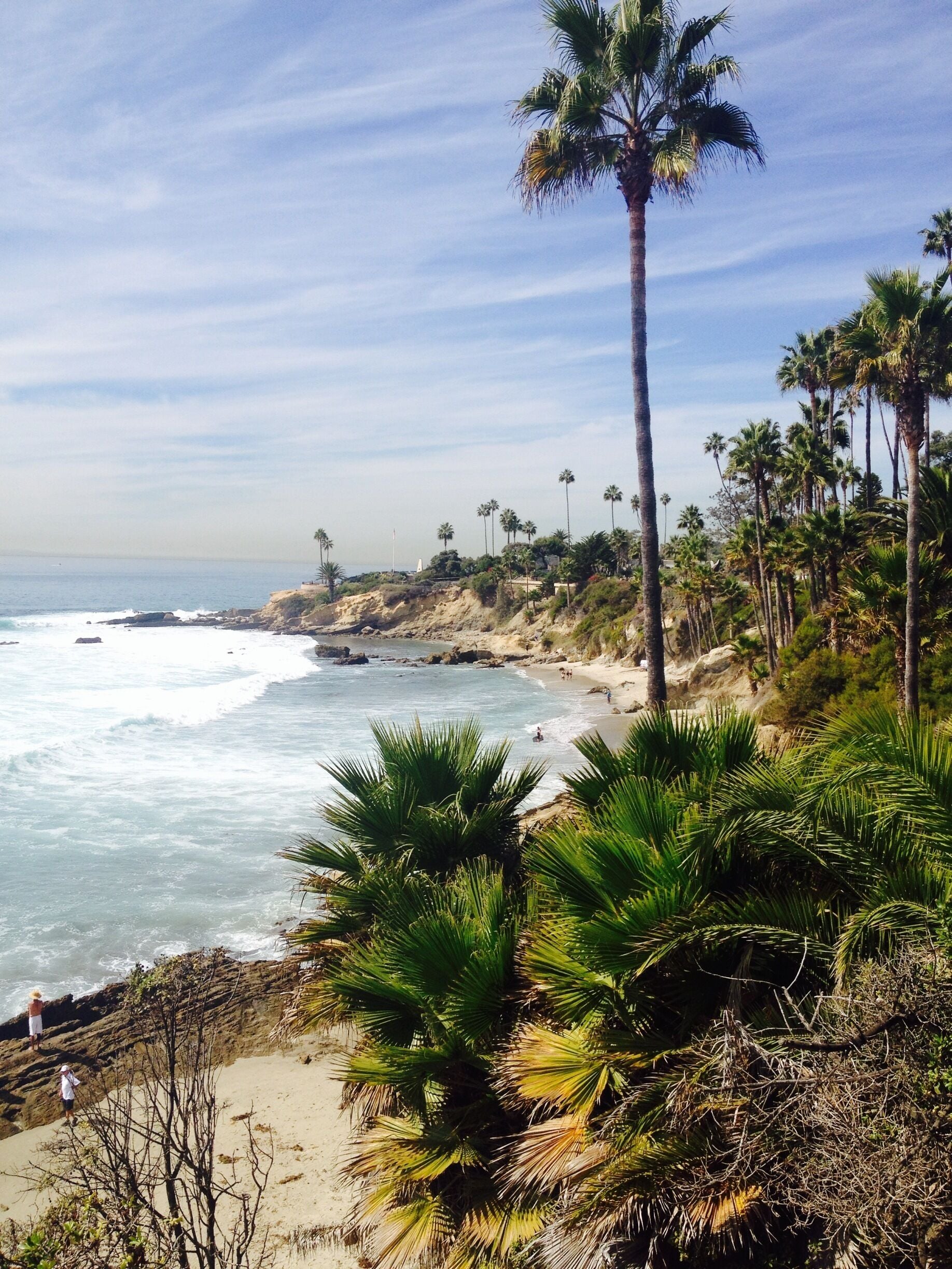 Just a lovely October afternoon on a beach. Stop in hwy 1 for lunch at #madisonsquaregarden and enjoy funky setting, some interaction with the owner and smoked salmon egg Benedict. Have to see it for yourself.