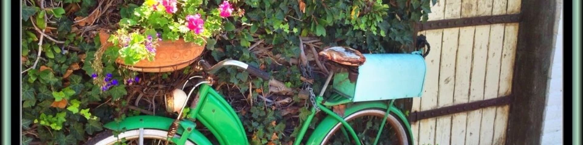 While traversing the hilly streets of this neighborhood I came across this vintage bike next to a worn garden gate and it caught my eye.