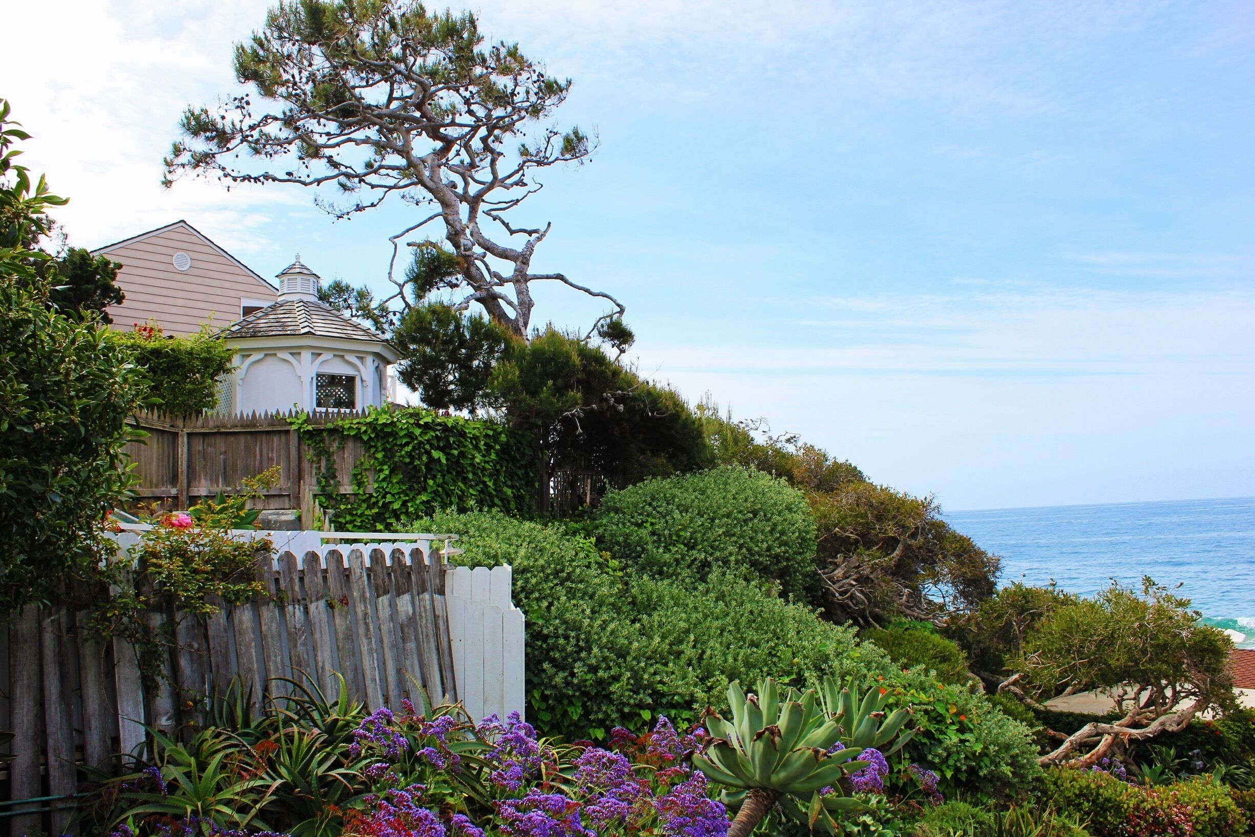 #green #lagunabeach #california #orangecounty