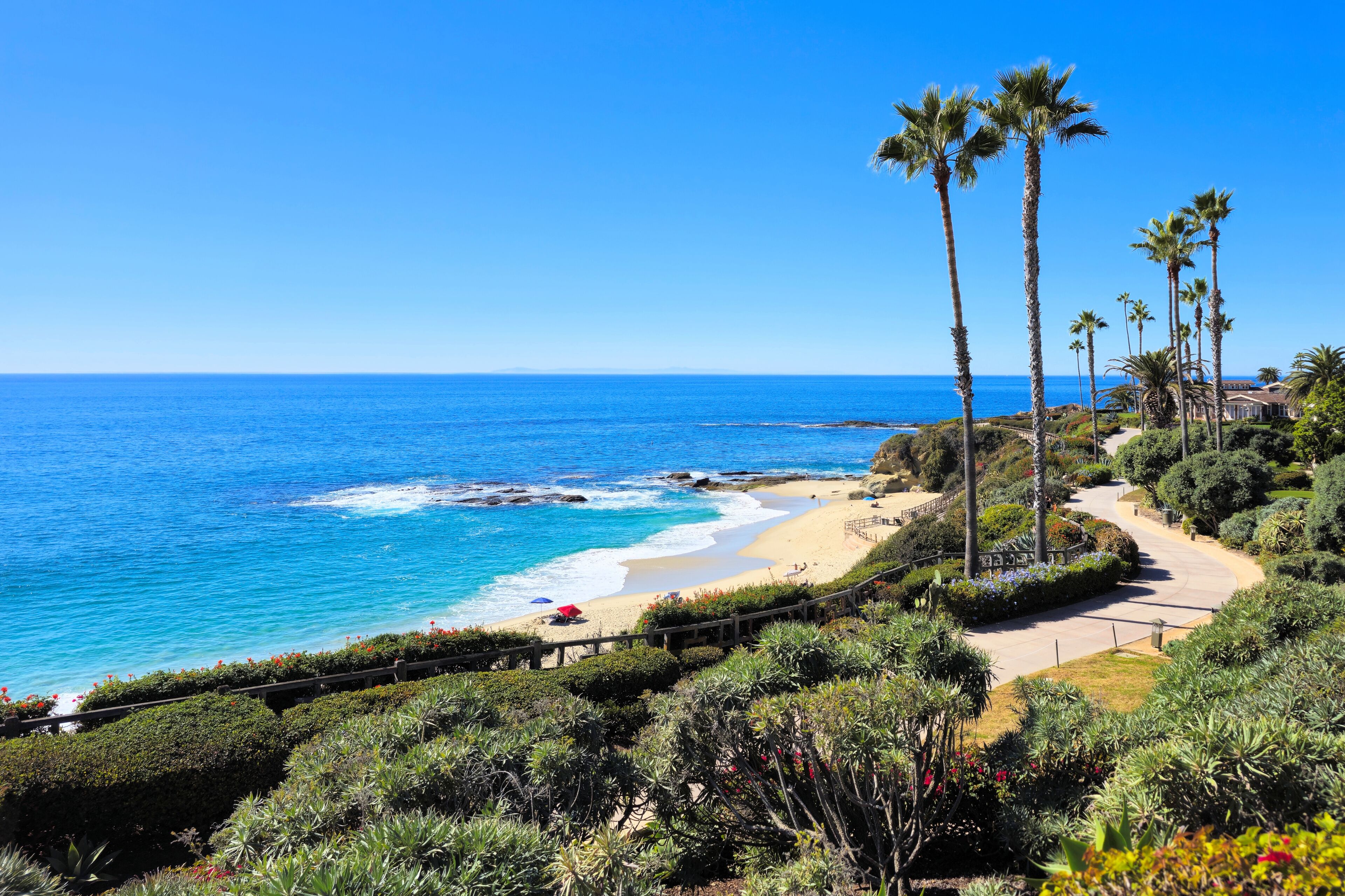 A coastal landscape with a clear blue sky, a sandy beach, and tall palm trees.