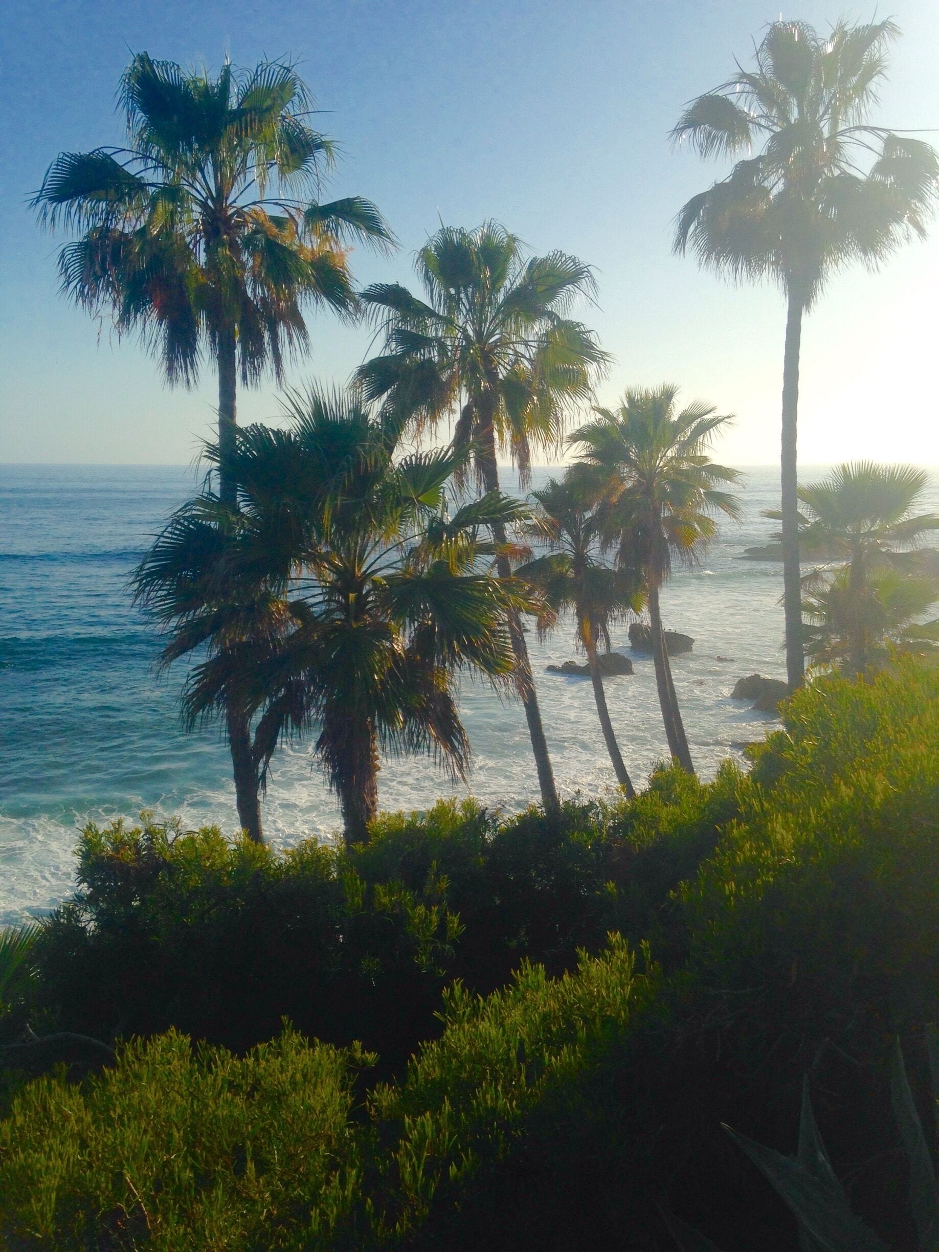 Another beautiful view along the Heisler Park walkway