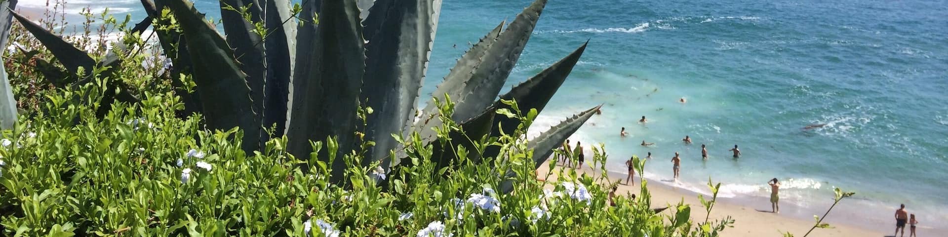 Typical sunny beach day at Laguna Beach, California