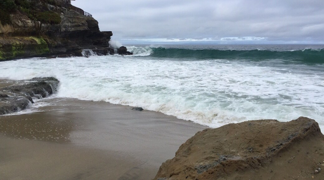 Best So Cal beach
#beaches