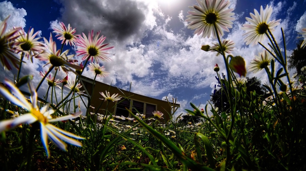 Sunshine over central Texas.