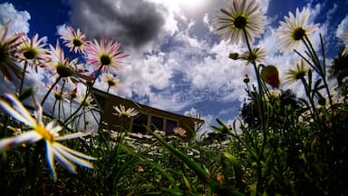 Sunshine over central Texas.