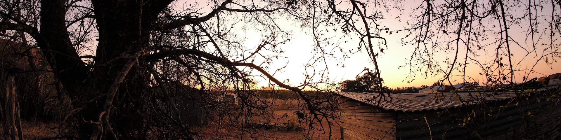 Pôr do sol atrás de uma árvore com uma estrutura de madeira e um carrinho de mão em primeiro plano.