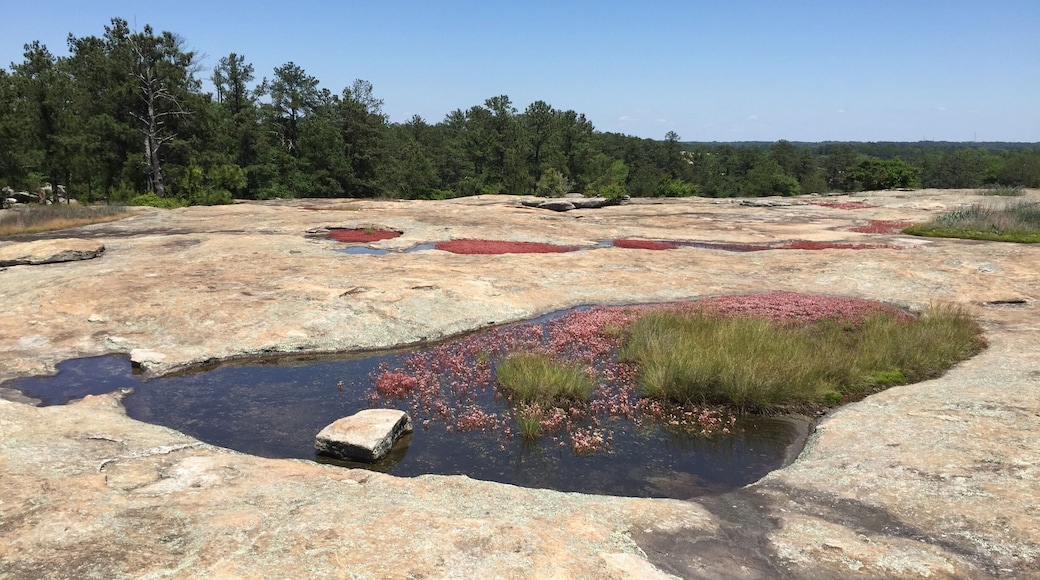 One of my favorite places in ATL.