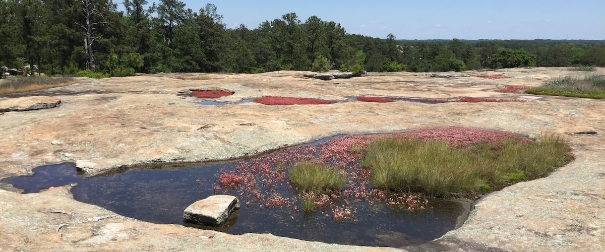 One of my favorite places in ATL.