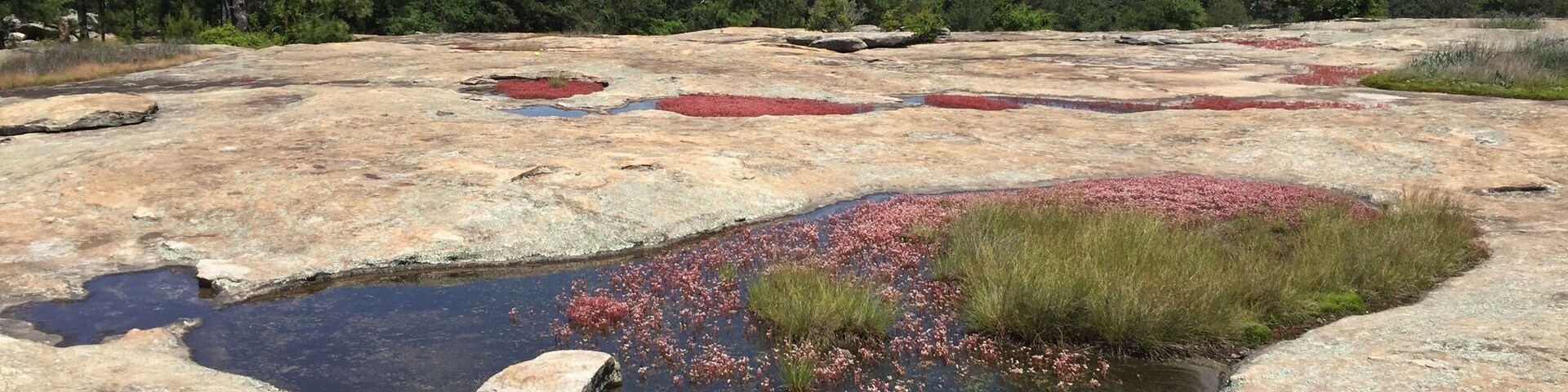 One of my favorite places in ATL.