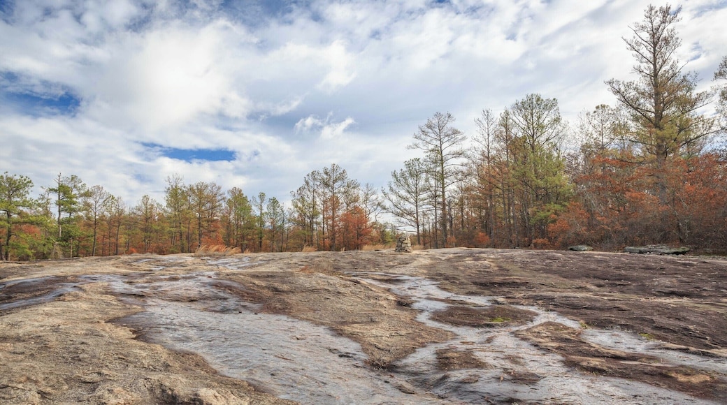 It was raining the day before and rivulets of water flowed off the granite mountain.