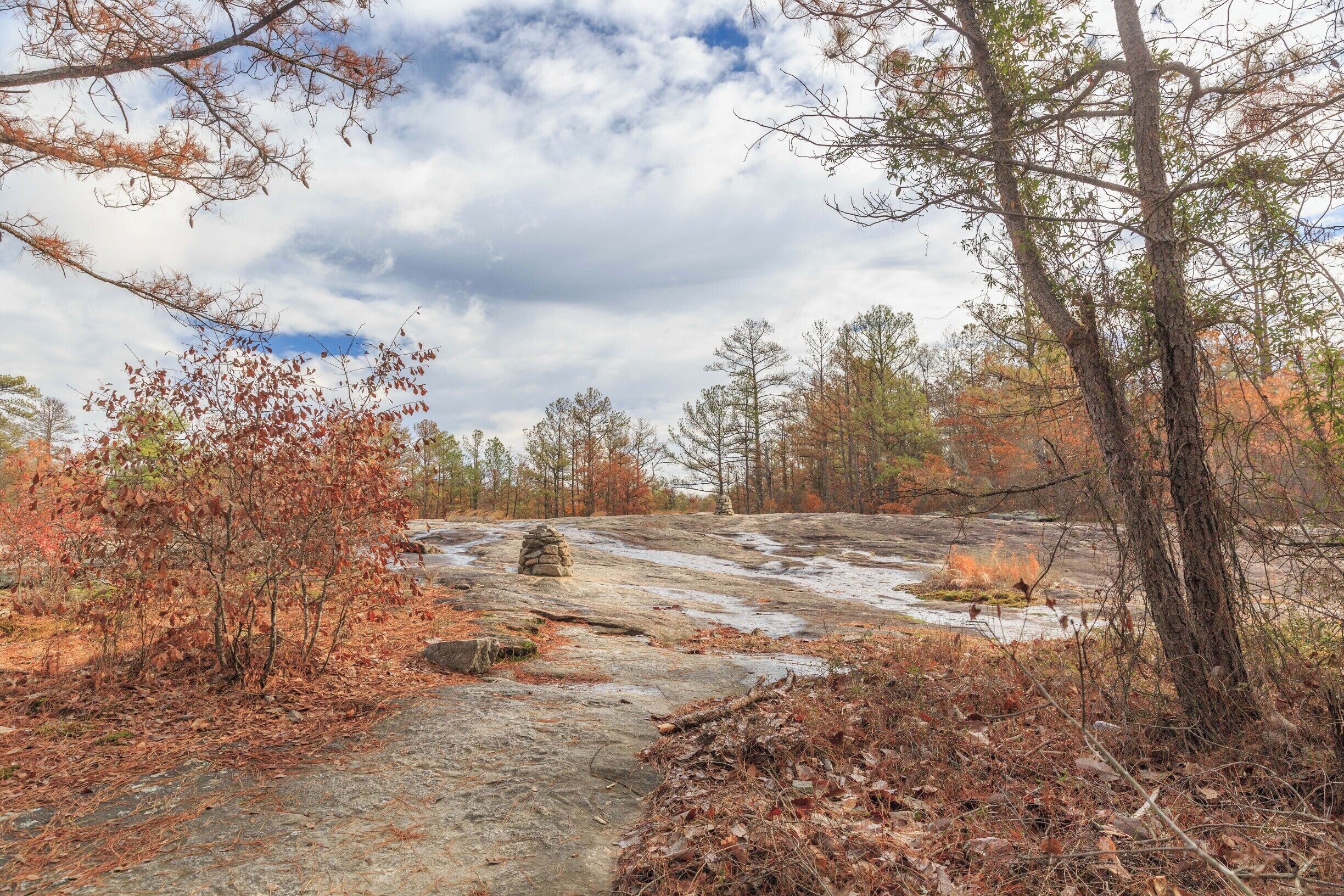 A cold day after a rainfall at Arabia in January. The sky was a gorgeous blue.