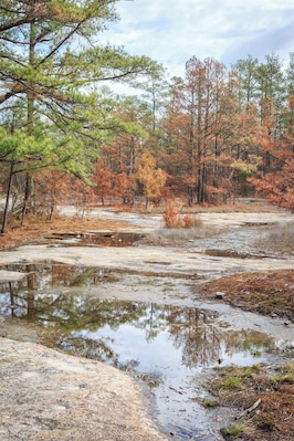 Reflections in the ponded water on Arabia Mountain in January.
