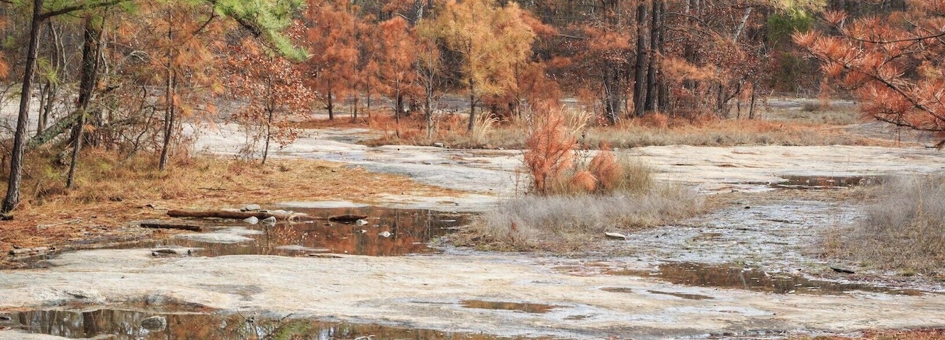 Reflections in the ponded water on Arabia Mountain in January.