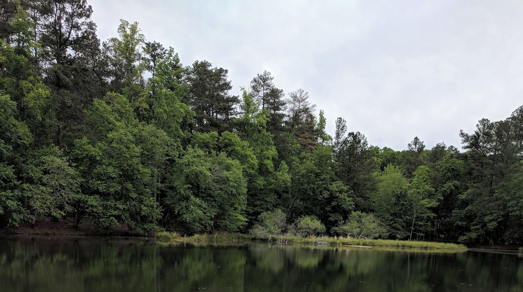 Arabian Mountain Lake