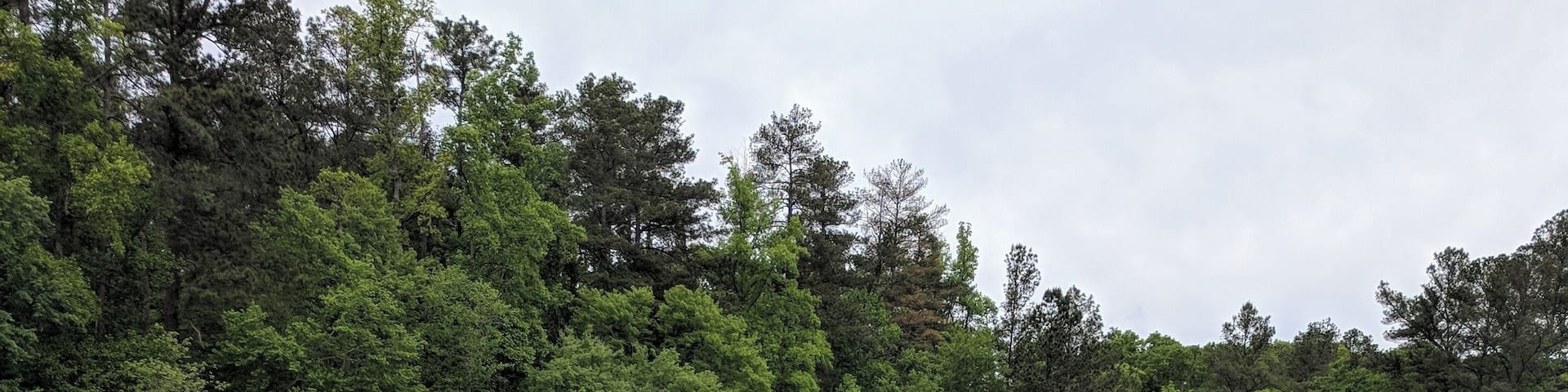 Arabian Mountain Lake