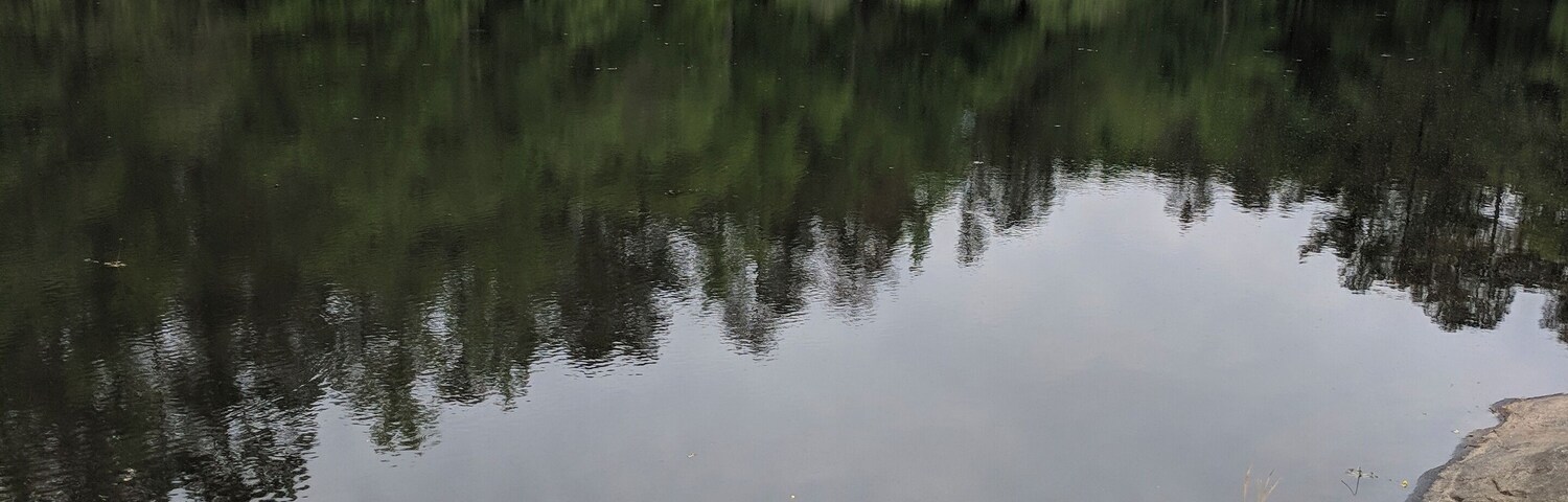 A calm lake with dense forest in the background.