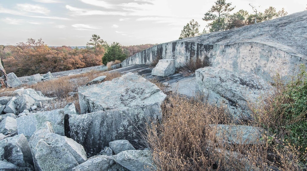 The largest, flattest mountain you've ever seen lol Definitely worth a hike :)