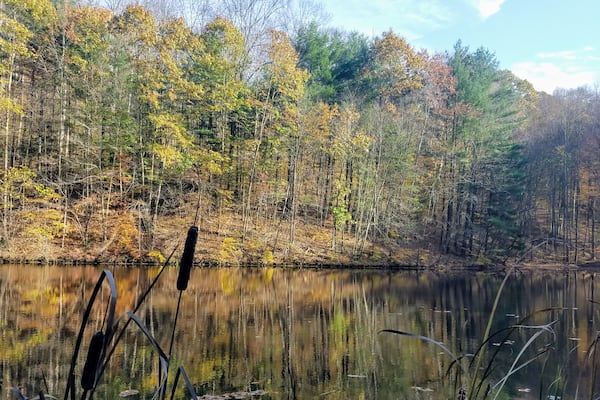 This is a nice little place to hike. Few visitors and away from major traffic.